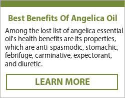  benefits of angelica essential oil