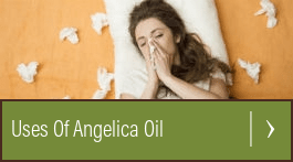 what is angelica essential oil used for